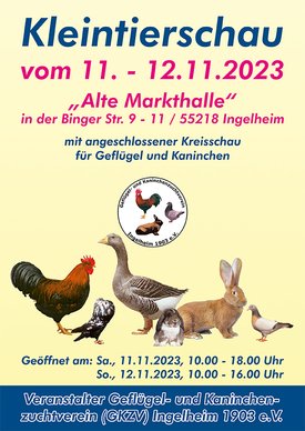 Kleintierschau in die „Alten Markthalle“ in Ingelheim