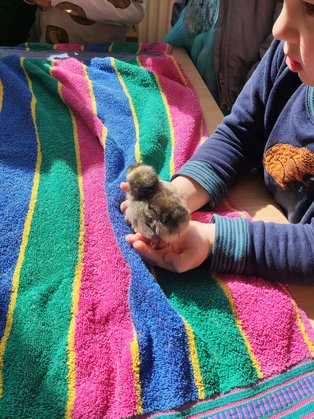 Besuch in der Kita Kreiswichtel und im Kurpfalzkindergarten