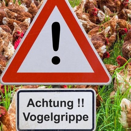 © https://www.brisant.de © https://www.brisant.de
