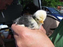 Besuch WGH (2009)