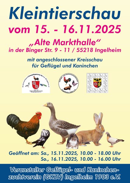 Kleintierschau des Geflügel- und Kaninchenzuchtvereins Ingelheim 1903 e.V. 2024 Kleintierschau des Geflügel- und Kaninchenzuchtvereins Ingelheim 1903 e.V. 2024