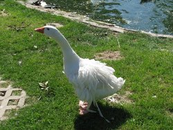 Besuch WGH (2009)