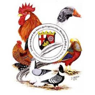 Der Kreisverband der Rassegeflügelzüchter Mainz-Bingen